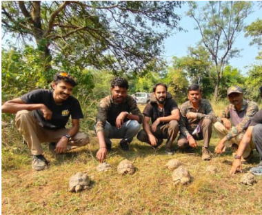 120 Indian Star Tortoises rescued & released from the illegal wildlife trade by RESQ Pune