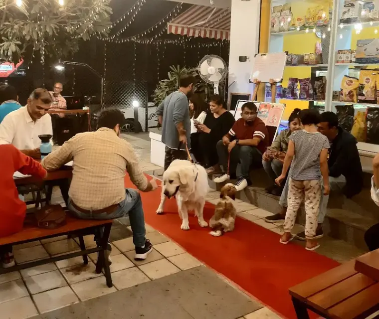 Pune's 1st pet cafe invites you & your pet to mingle!