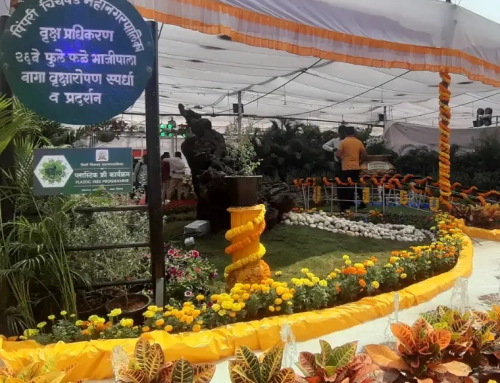 3 Days Raanjaai Gardening Festival, kicks off in PCMC