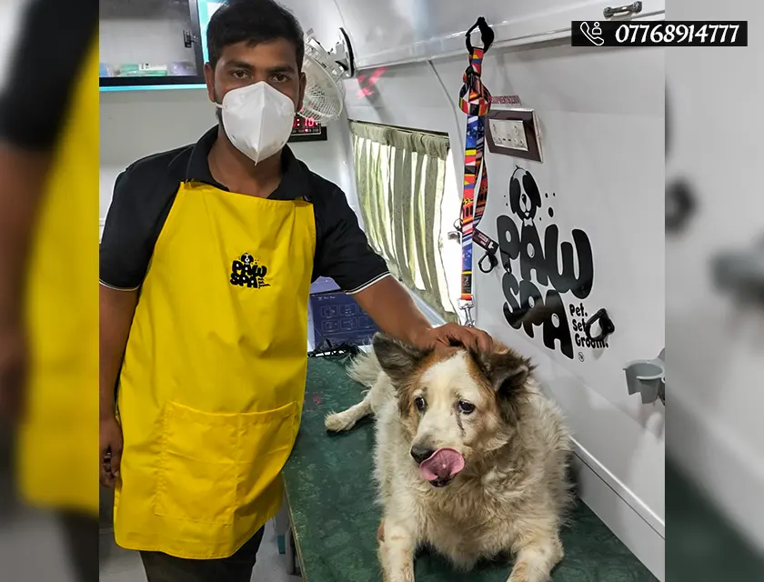 There's a new pet spa in Pune operating from a mobile van!