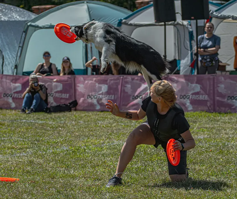 Unleash the pet fun @Petstival: A pawsome weekend in Talegaon!