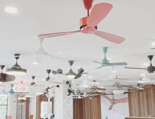 This is the place in Pune where all the A-Listers buy their fans from!