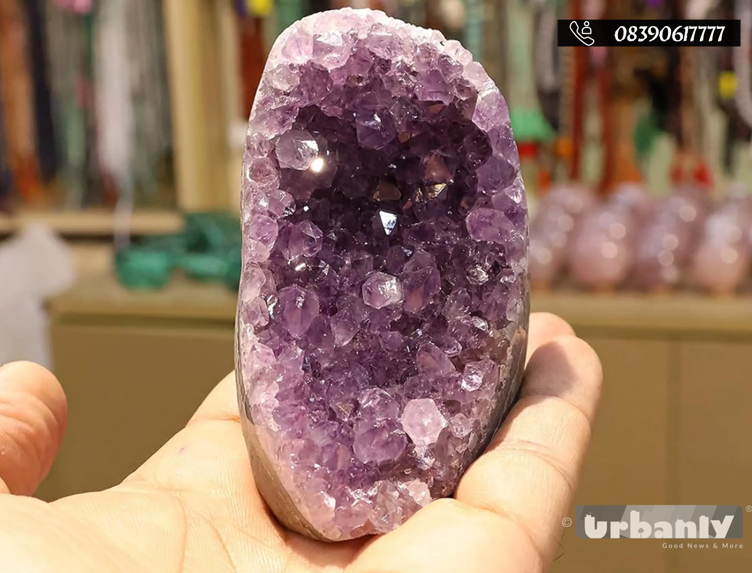 Meet Pune’s only Crystal Hunter with over 300 crystals in his collection!