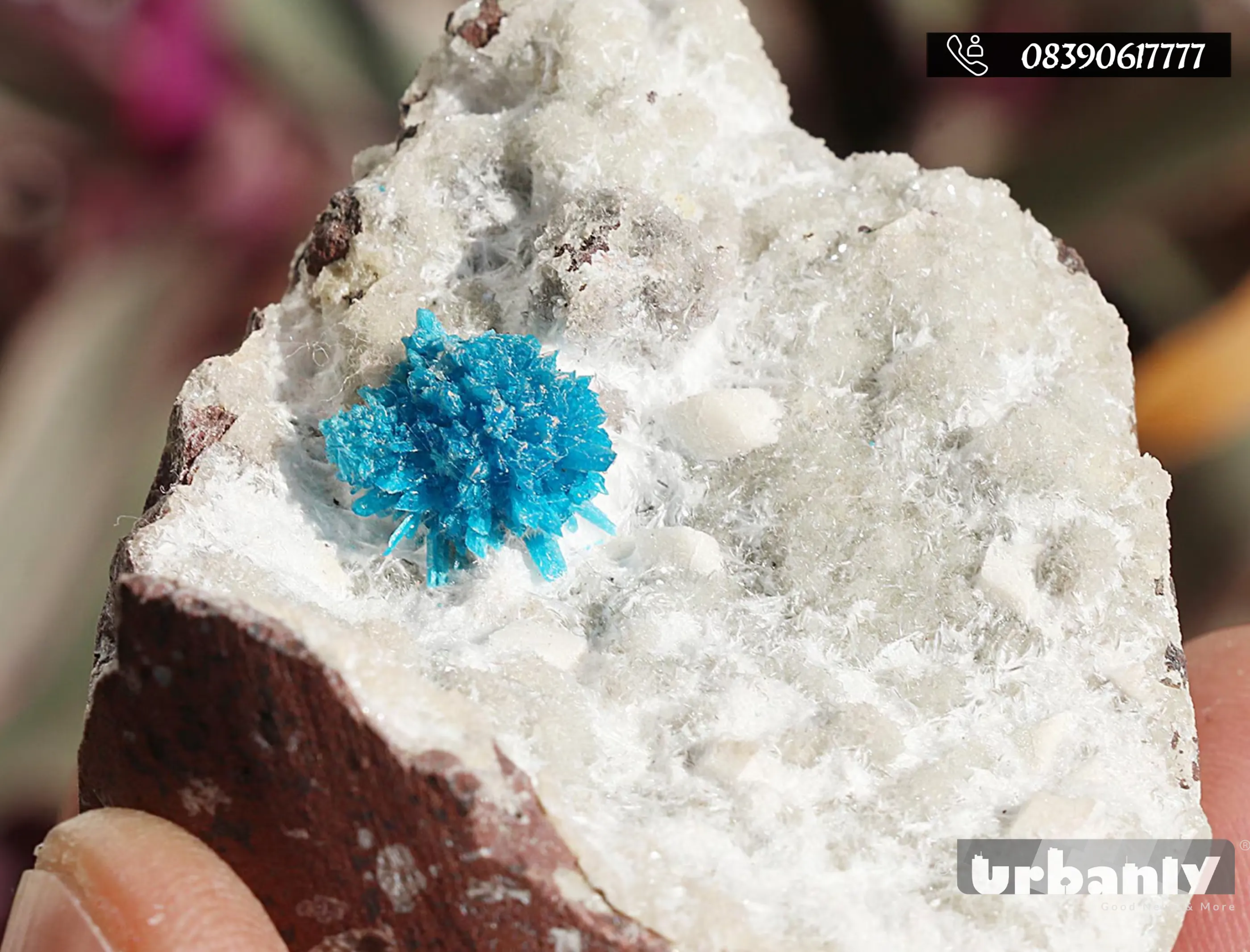 Meet Pune’s only Crystal Hunter with over 300 crystals in his collection!